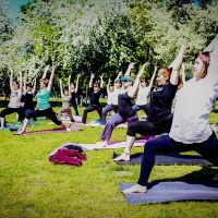 22-23 июня празднование международного дня йоги